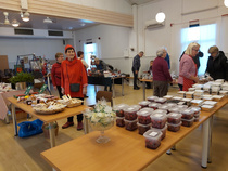 kuva Riitta Kaltemaa