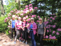 Ruissalon kukkaloistoa